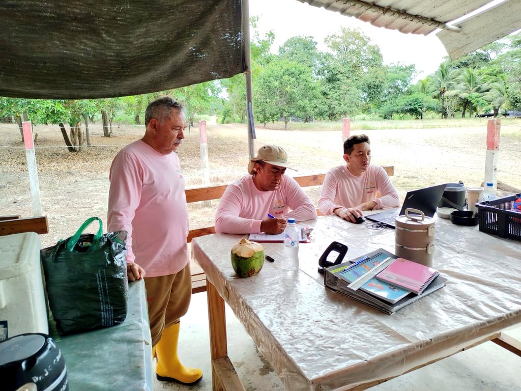 AgrocalidadZ5's tweet photo. #Guayas | Realizamos inspecciones sanitarias y muestreos en lotes de pollos de granjas avícolas, con el fin de verificar el estado sanitario de las aves, prevenir la presencia de enfermedades y fortalecer acciones de vigilancia epidemiológica en el sector.
#PrevenciónSanitaria https://t.co/KnyyquicOO