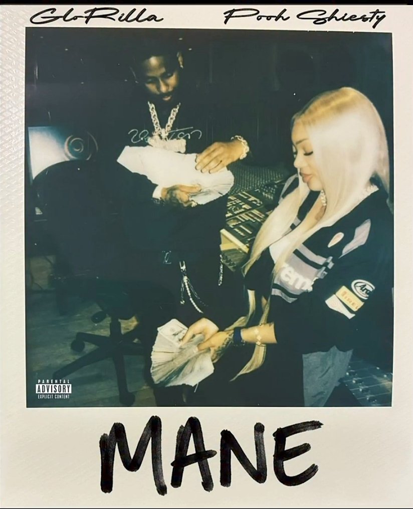 RedMedia_us's tweet photo. GloRilla's "MANE" featuring Pooh Shiesty debuts at #9 on billboard bubbling under 100 chart. https://t.co/cE4PyZ5AII