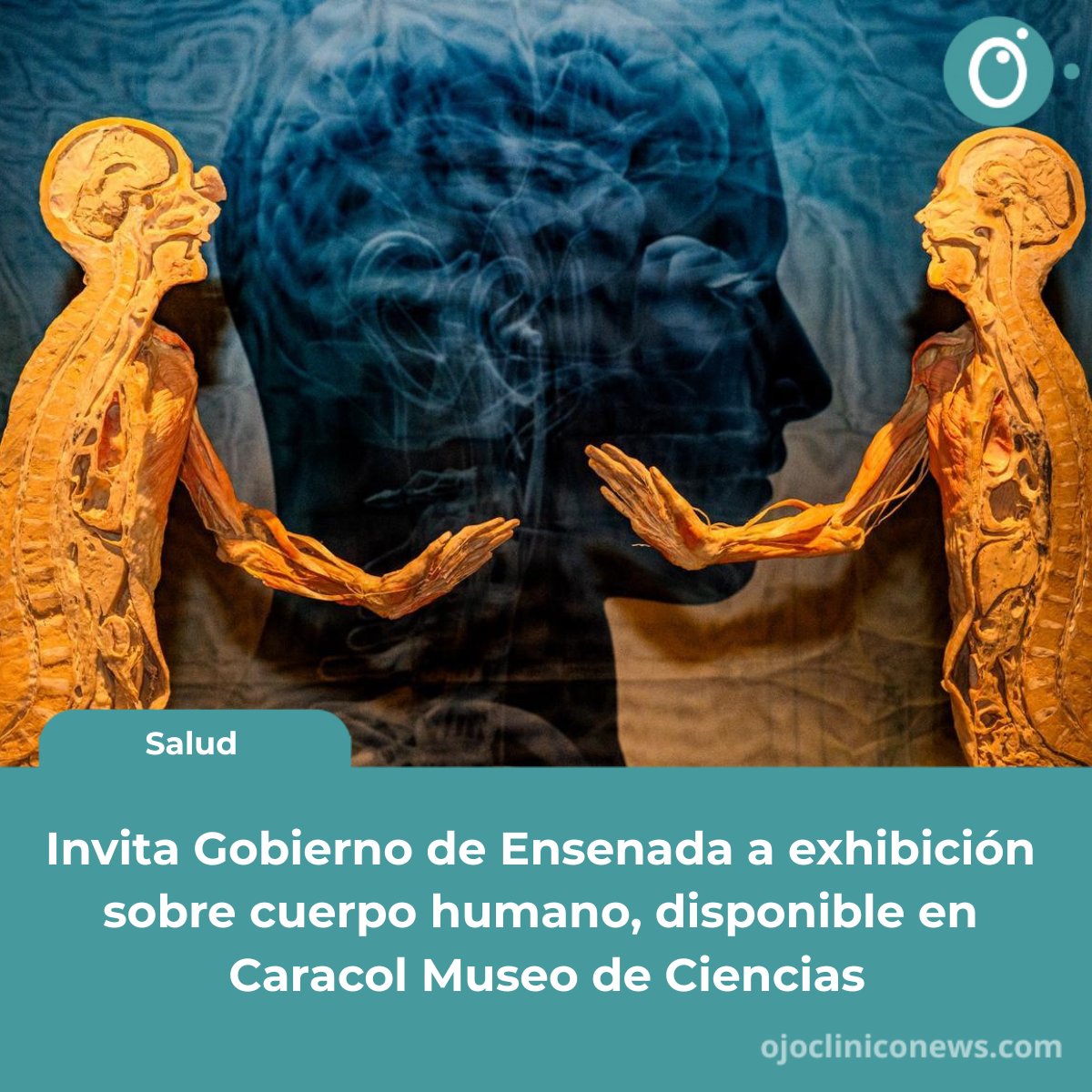 ojocliniconews's tweet photo. Como parte del compromiso con el fortalecimiento de la educación, ciencia y la cultura, el Gobierno de #Ensenada invitó a la exposición temporal “Our Body: El #Universo Dentro”, #cuerpos humanos reales, que está disponible en en el Caracol #Museo de Ciencias.

Todos los detalles aquí: https://t.co/cXe5vvYe7t