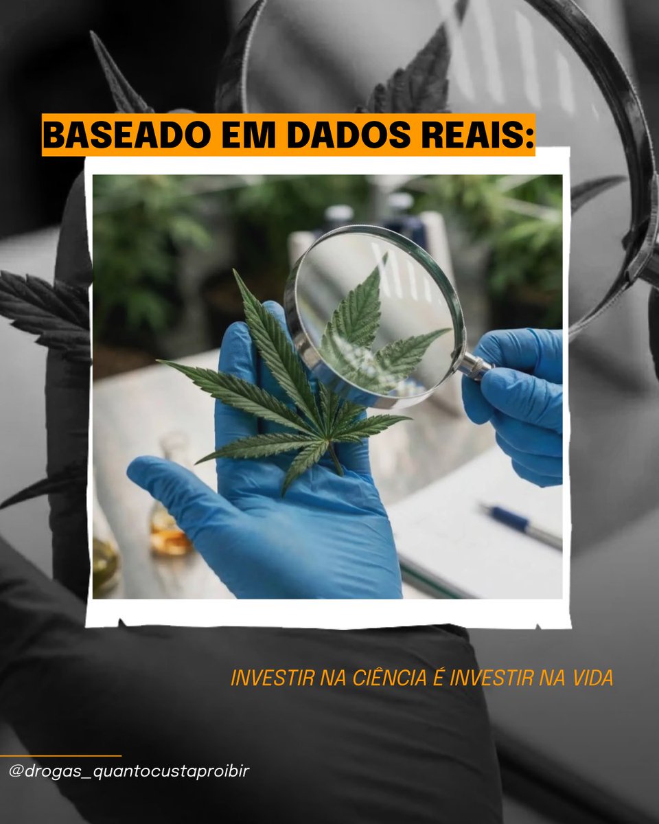CustoProibicao's tweet photo. 🔬 Quando a ciência substitui estigmas por evidências ela salva vidas!
👏🏾 Há cinco anos, o Drogas: Quanto Custa Proibir produz pesquisas para medir os impactos sociais e econômicos do proibicionismo, e contribui para um debate público baseado em evidências. https://t.co/Ai6GMVAKIk