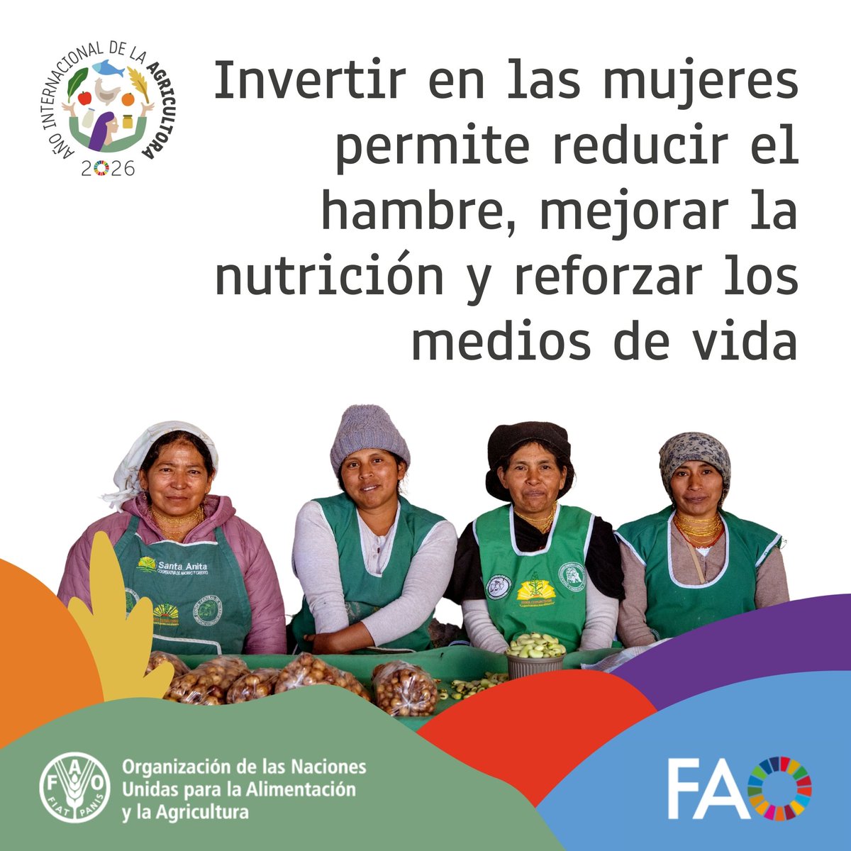 ONUMujeres's tweet photo. El #AñoDeLaAgricultora busca reconocer a las mujeres que, pese a su papel clave en los sistemas agroalimentarios, aún enfrentan desigualdades.

El #IYWF2026 llama a desarrollar su potencial y crear comunidades más resilientes ➡️ https://t.co/G3KEk1HhYD  @FAOAmericas https://t.co/SHX2x3GuLZ