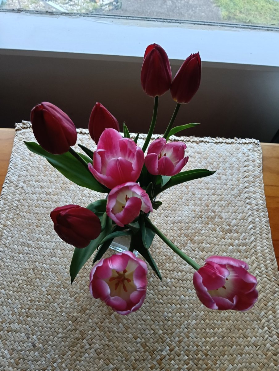 AlisonKagen's tweet photo. #PinkFriday
#FlowersOnFriday
🩷 https://t.co/Z4vEdSAUfw