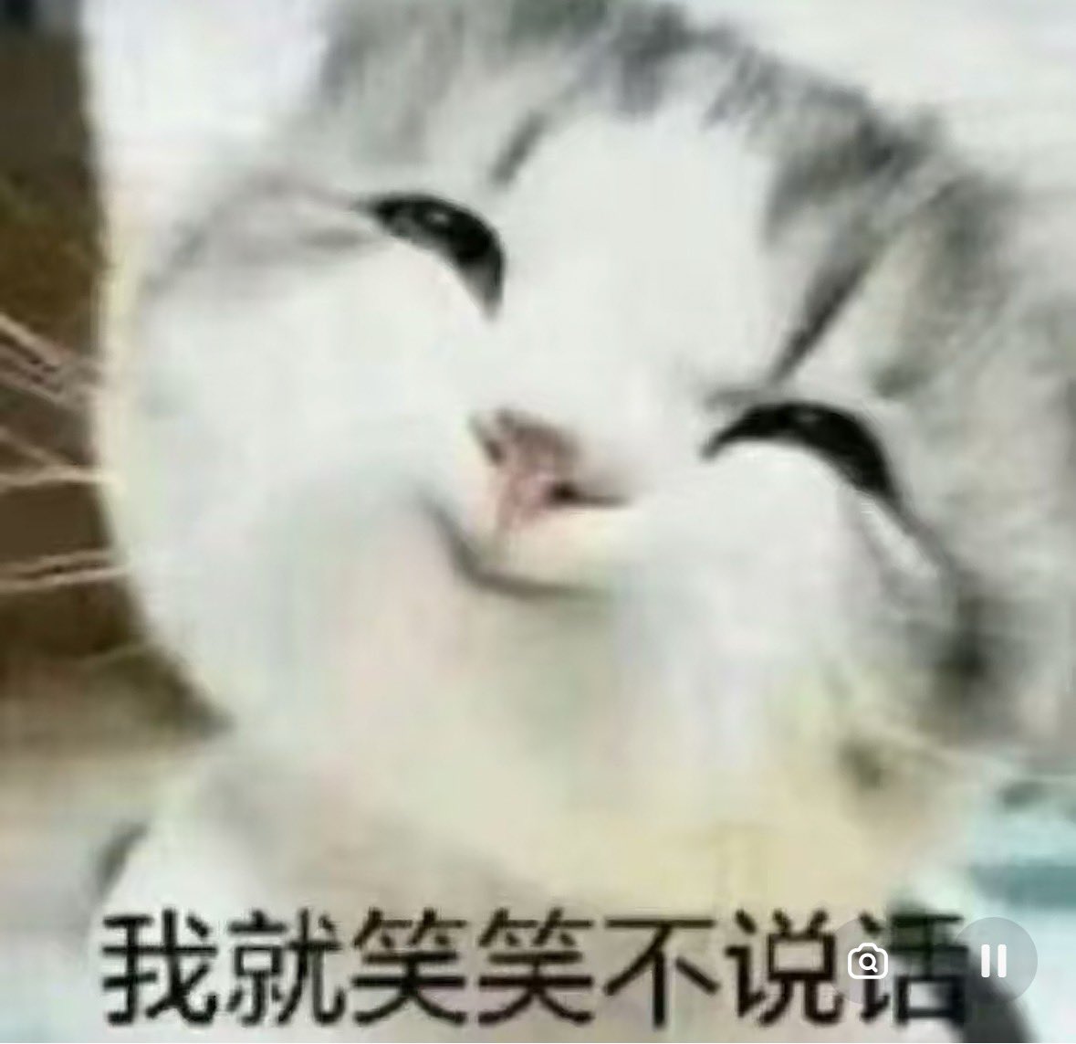 Shulimiao's tweet photo. 我就笑笑不说话😹 https://t.co/O6IWEj4eqU