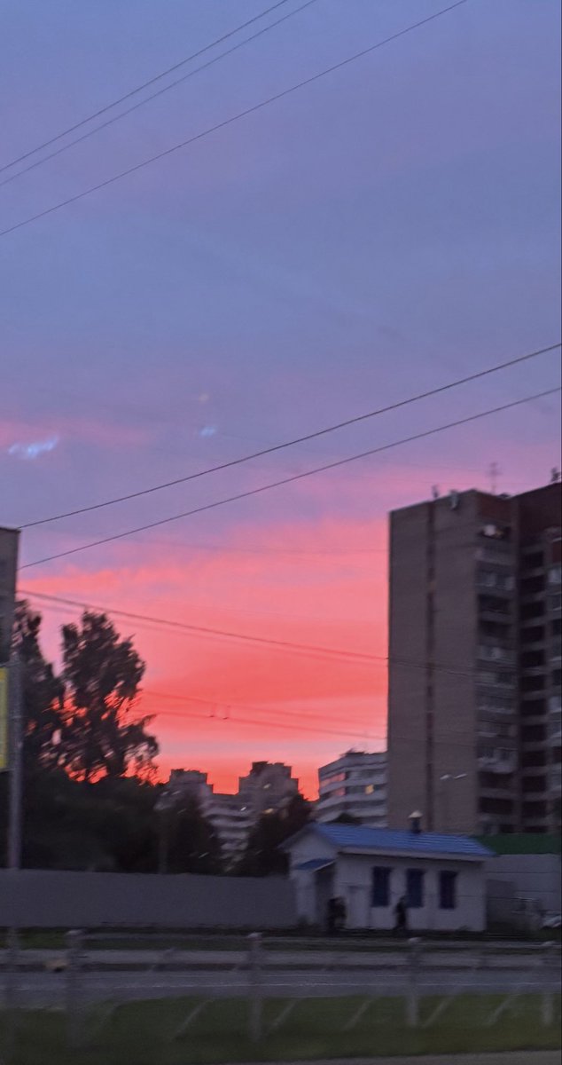 _eto_ona's tweet photo. какой красивый закат ✨ https://t.co/D0XSHQabuE