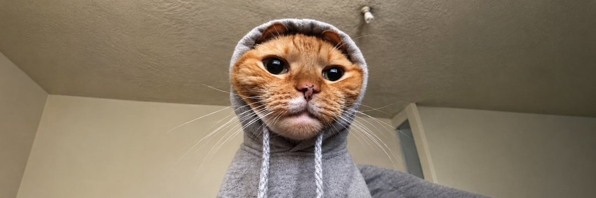 madapescall's tweet photo. $HOOD just went live. OG meme, Cat Wif Hood. Hood coins are running on meta and Robinhood hype, launched on SOL and moving out of a dip. Good ticker and branding. Degen ad always Dyor. 

https://t.co/TT2n0VwDME
https://t.co/RWQiYF72gN
https://t.co/X5HVmIHQKJ

D5MS4fPQ3GsmLDXy5732ZaHQJrZ49hdALTyEtXh3mgGw