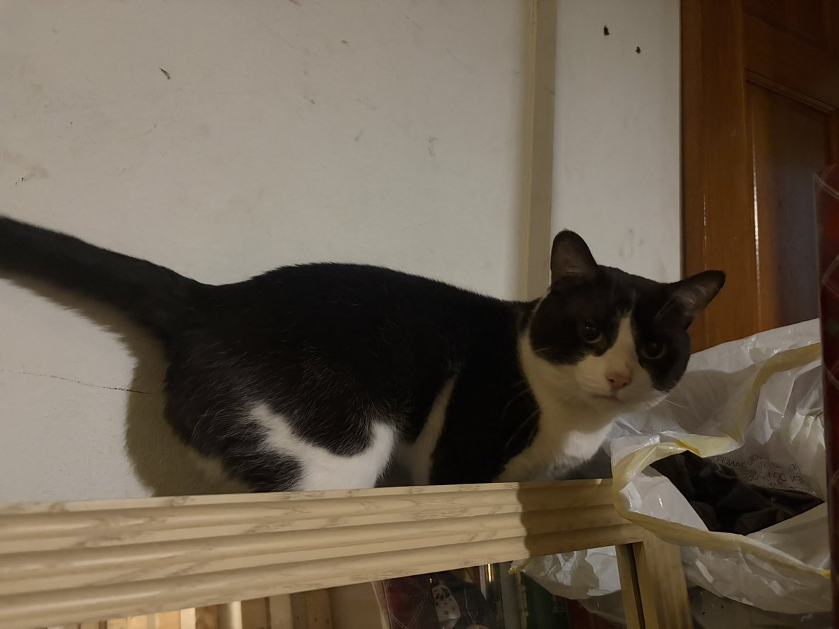Smug_Flying tweet picture