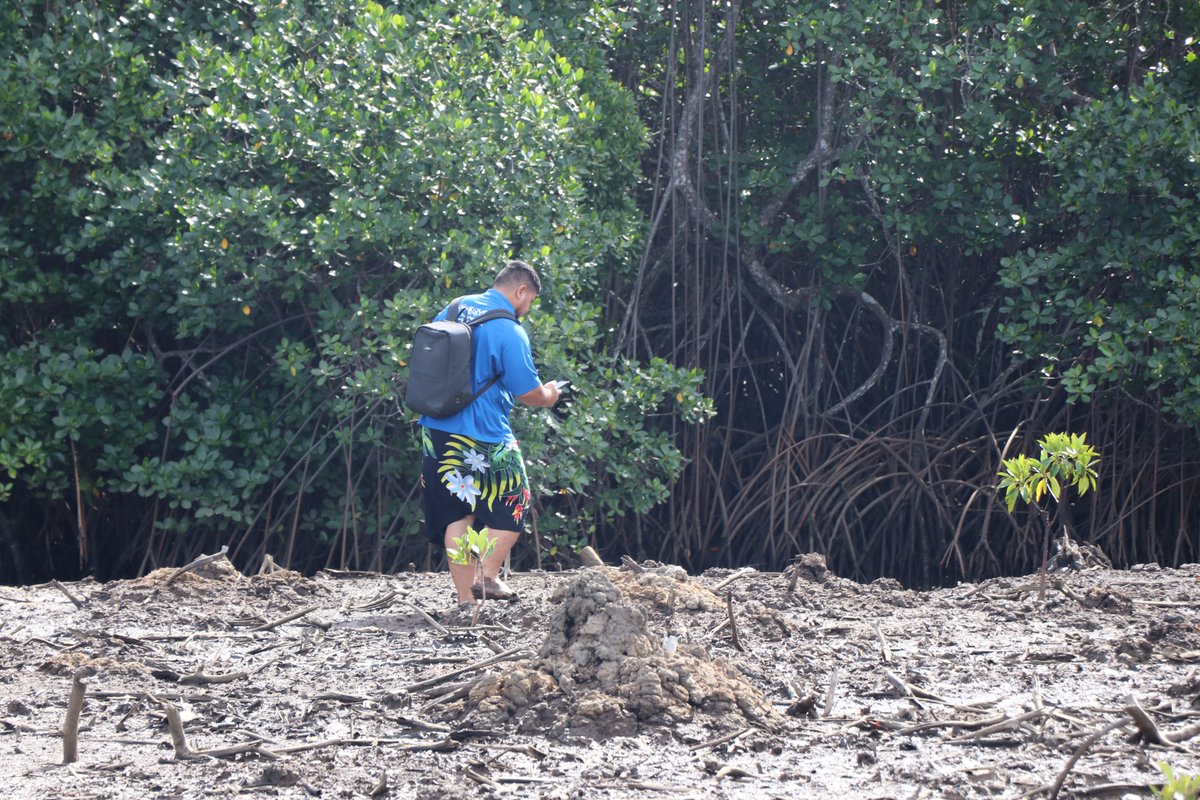 SprepChannel's tweet photo. SPREP continues work with our Pacific members to strengthen Geospatial and Environmental Data Management Systems for stronger #PacificResilience 
➡️https://t.co/iGfqXkCnKh https://t.co/VGiAgkG38p