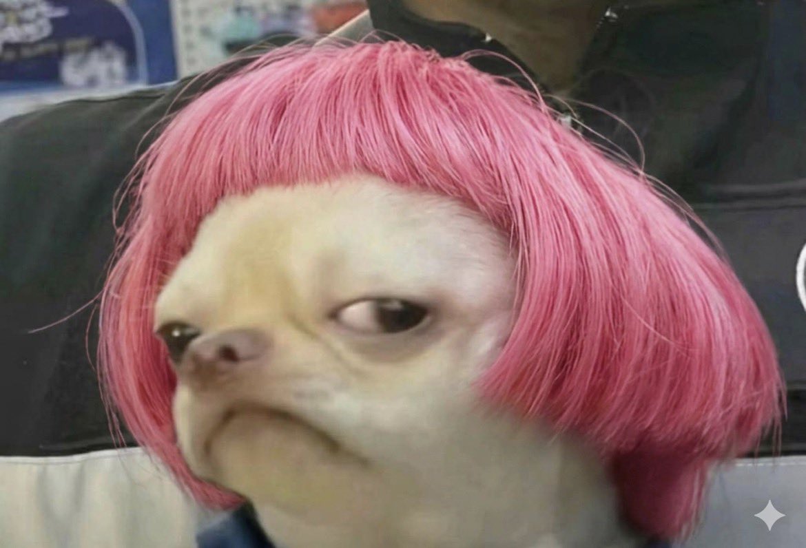 MrNicki's tweet photo. Stop putting that jumpscare on my TL.

Last warning.

🫩 https://t.co/UOUBVbhOy5
