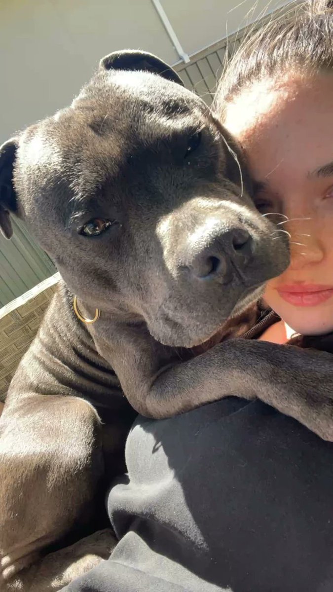 Kylieknotting's tweet photo. If love had face ,it would look just like this 🖤🐶!
Come for pleasure,stay for addiction, watch all my home made videos on my  Telegram channel! TG LINK 🔗 👇
https://t.co/ekfU7gWHKd

#teenagegirls #NoLimit #Zoophilia #zopositivity #dogknotting #AUSummit2026 #beastiality #k9girl https://t.co/L43KayyxvF
