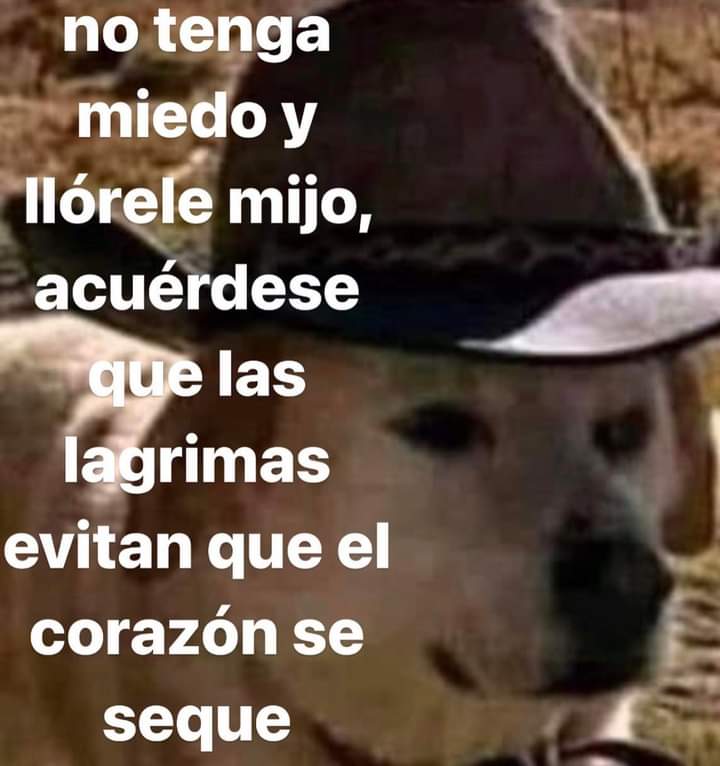 Mantequilla90's tweet photo. https://t.co/nhMZz9etYn