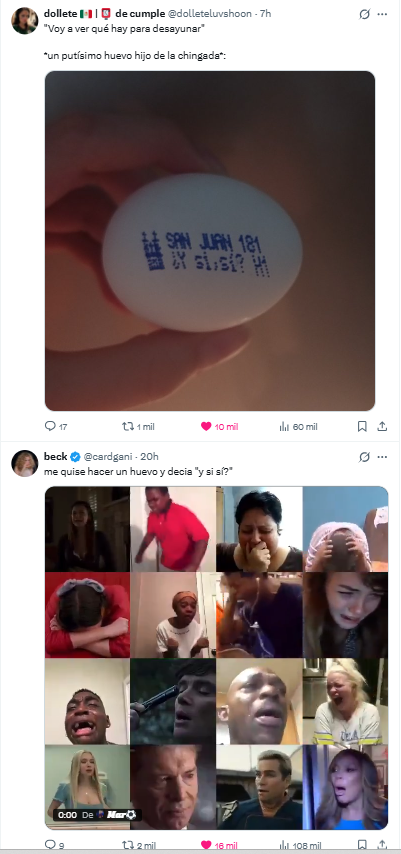 Fa Hernández tweet media