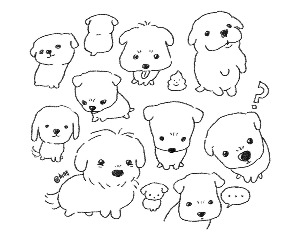 beomgyirl's tweet photo. why is that puppy so beomie https://t.co/3NFcNnDATD