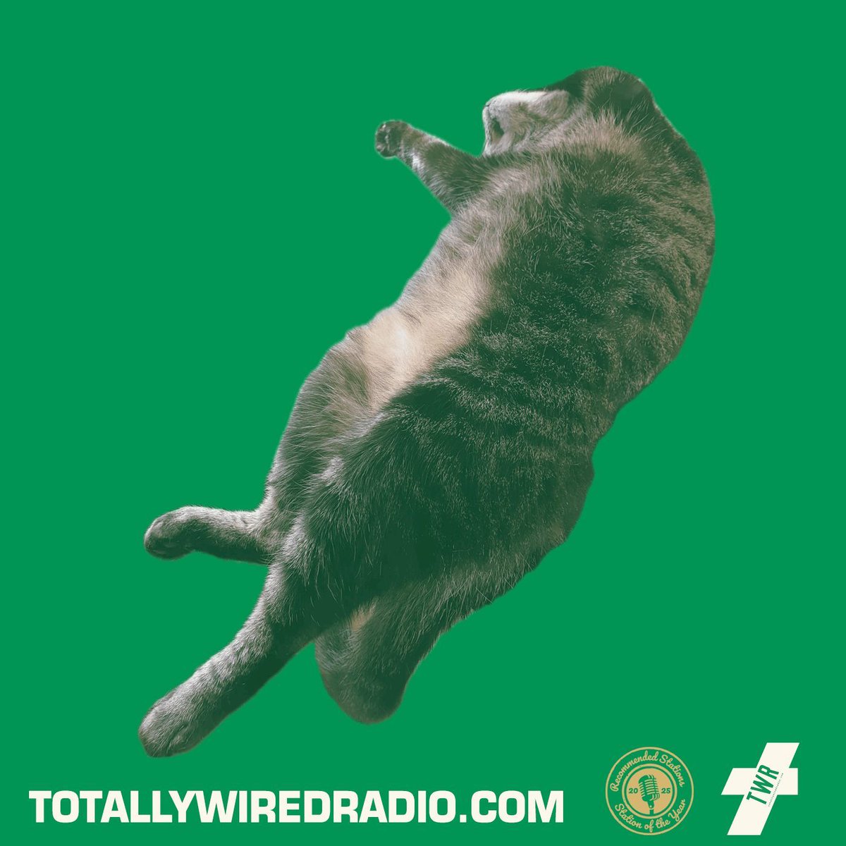 TotallyWiredRAD's tweet photo. FOURPLAY #Live w/ David Jazzy Dawson #startingsoon on #TotallyWiredRadio Listen @ Link in bio. 
-
#MusicIsLife #London #Southend #WorldWide  
-
#Jazz #Soul #Funk #Eclectic #Chillout https://t.co/a0dPOBiiot