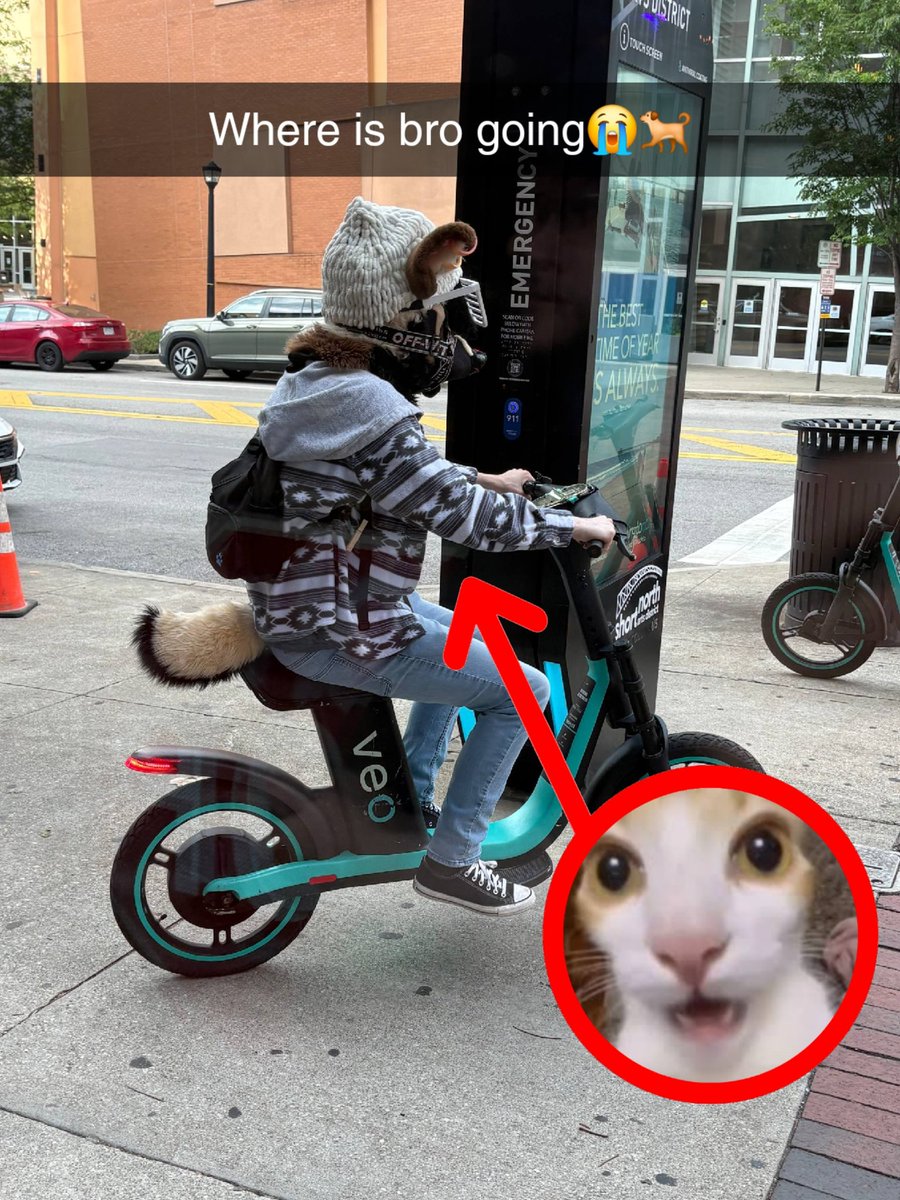 puppypawbs's tweet photo. On my way to crack the fuzz brb 🏃‍♂️ https://t.co/ovZQIo5zA7