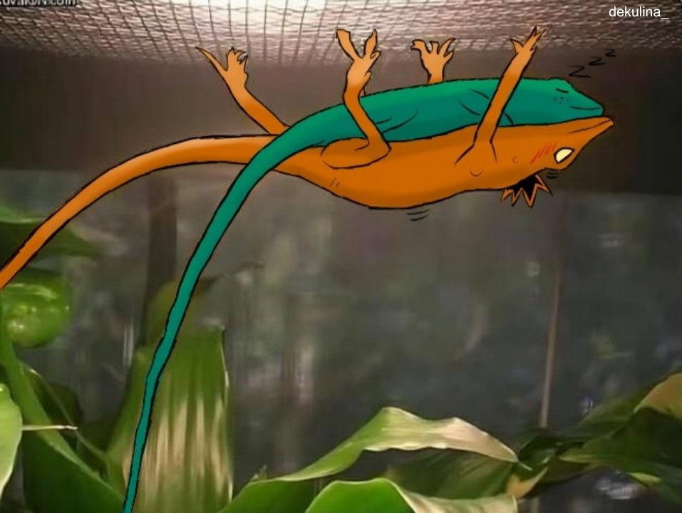 dekulina_'s tweet photo. lagartsuki sujetando a lagarzuku 🧡💚 https://t.co/NXcipDYlNe