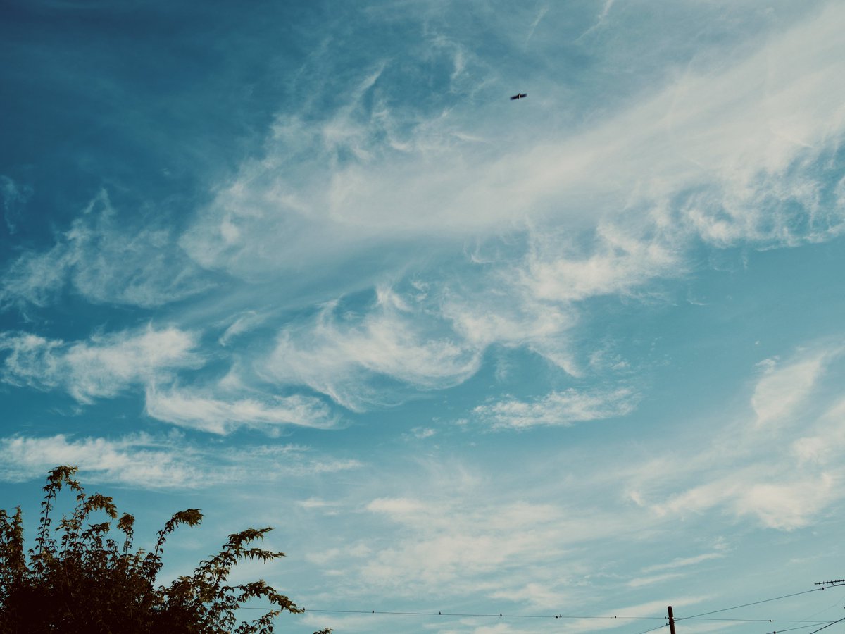 oralive2026's tweet photo. #イマソラ https://t.co/Ij5kAh69x6