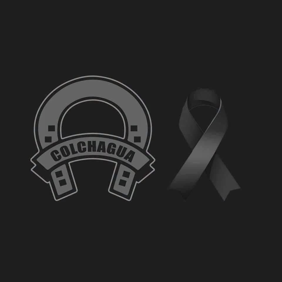 colchaguacd's tweet photo. CONDOLENCIAS 🤍🕊️

Colchagua CD se adhiere al dolor por el sensible fallecimiento de Francisca Cumsille.

Enviamos nuestras más sinceras condolencias y un abrazo de fuerza y acompañamiento a sus familiares, amigos y seres queridos en este difícil momento. https://t.co/JfutqFA4eG