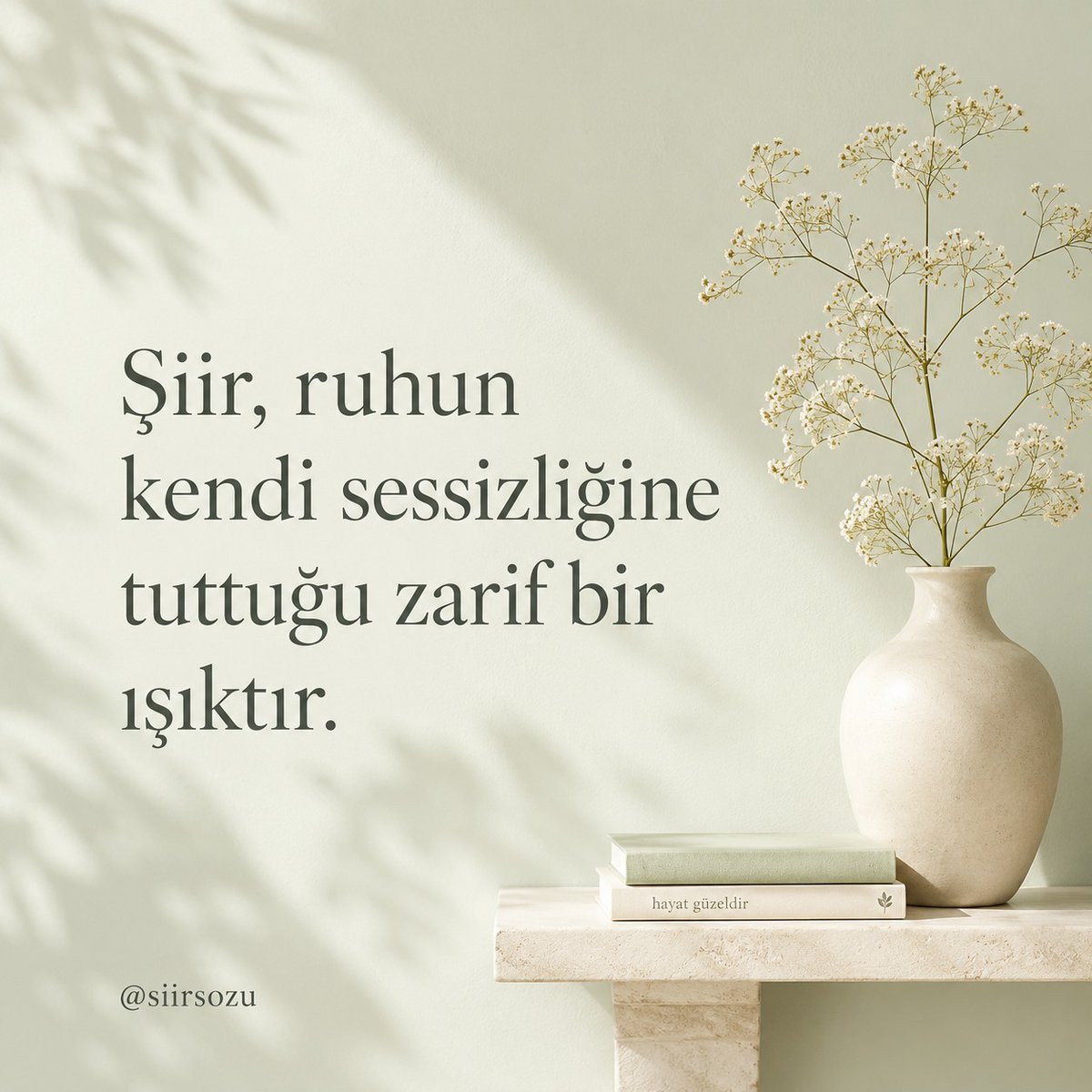 siirsozu's tweet photo. https://t.co/g6YccKOLpH
