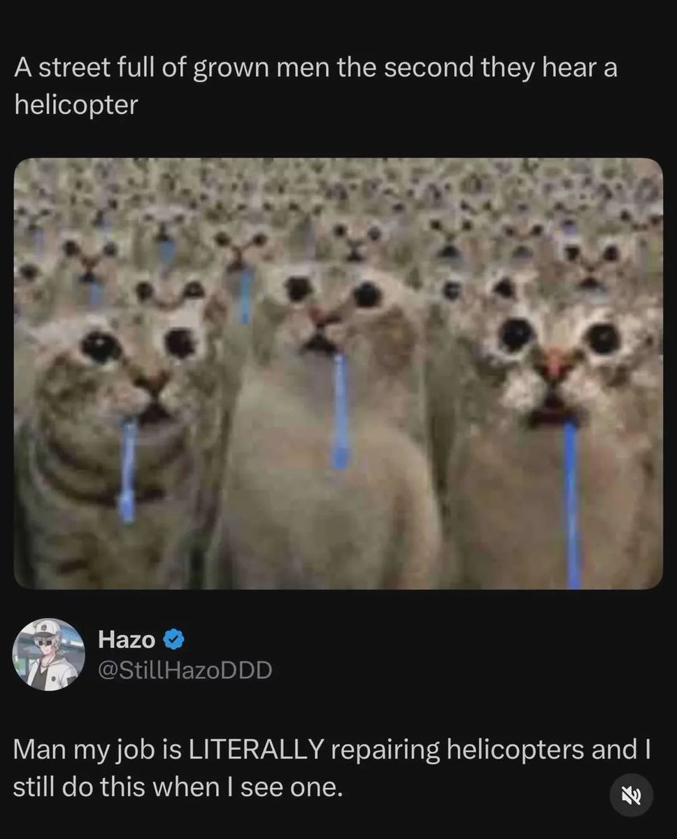MemesToView's tweet photo. https://t.co/PasRNURc6s