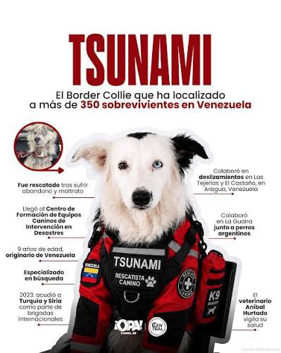 rogarrio's tweet photo. @RicardoBSalinas @YordiMX Por ellos la reprenda debería ser ejemplar, no se puede tener alguien así al frente de un programa de cadena nacional, caerá en lo mismo de la 4T, disculpas falsas y a lo que sigue ?? Me pregunto, No estábamos hartos de eso ? https://t.co/C15XE7cr2F