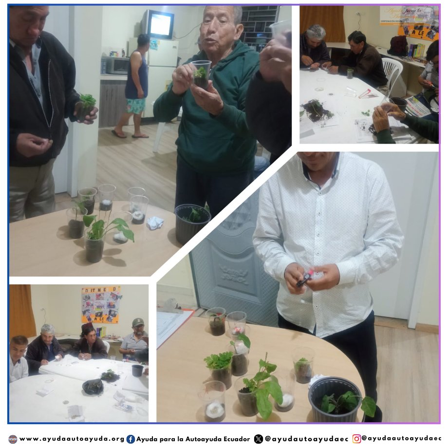 ayudautoayudaec's tweet photo. 🌱 #HabitantesdeCalle convirtieron plásticos y cartones en macetas llenas de vida. Cada semilla sembrada fue un acto de esperanza y dignidad. 🌿💚
Sembrar no fue solo ambiental: fue inclusión, fuerza y sueños de futuro. 🚀✨
#Inclusión #Esperanza #SembrarFuturo https://t.co/ao2z0cIdOm