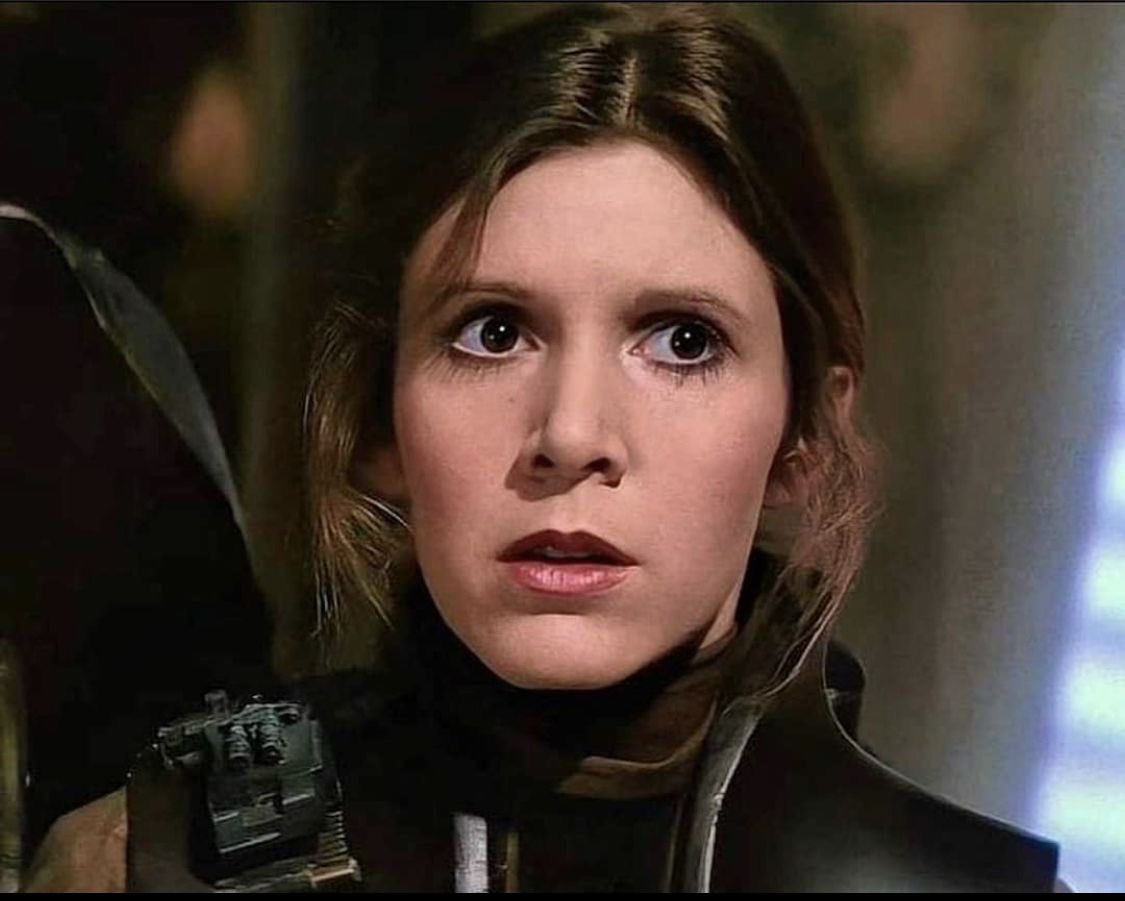 lukesrebels's tweet photo. some of the best anyone has looked in the history of ever https://t.co/1kpCbDL6T9