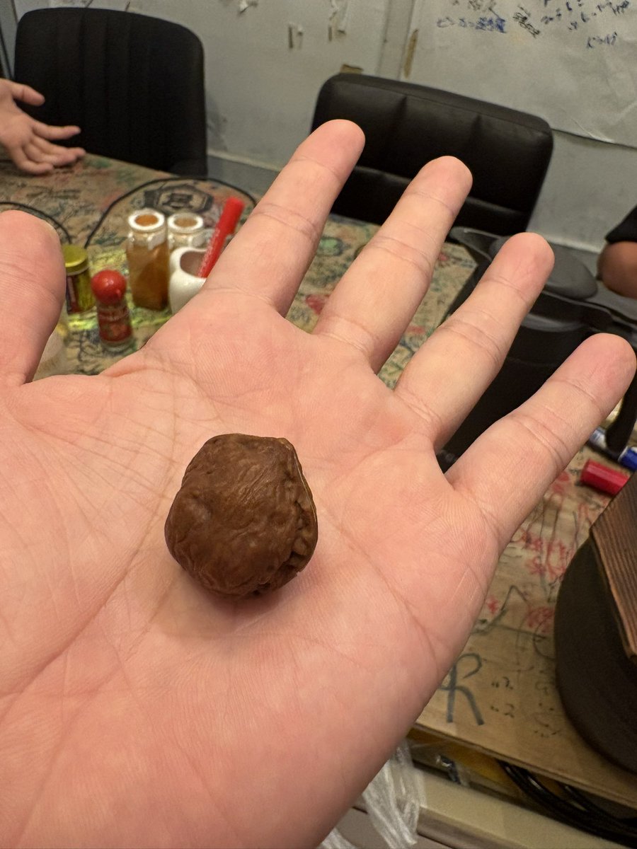 500curry's tweet photo. クルミをふたつ手のひらでクルクルまわすADHD向けグッズをADHDのお客さんが持ってきてくれたんですが、ADHDだから一晩で片方失くしてた https://t.co/mG5cuz2AHH
