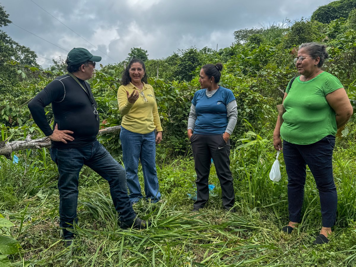 FEPPnacional's tweet photo. 💧 FEPP y Sumar Juntos impulsan el acceso al agua potable en Manabí.

Realizamos un recorrido técnico en la comunidad El Comunal, El Carmen, para evaluar su incorporación al proyecto de agua potable.

🤝 Seguimos trabajando por el desarrollo de las comunidades rurales.

#FEPP https://t.co/8tGGUyv3Z0