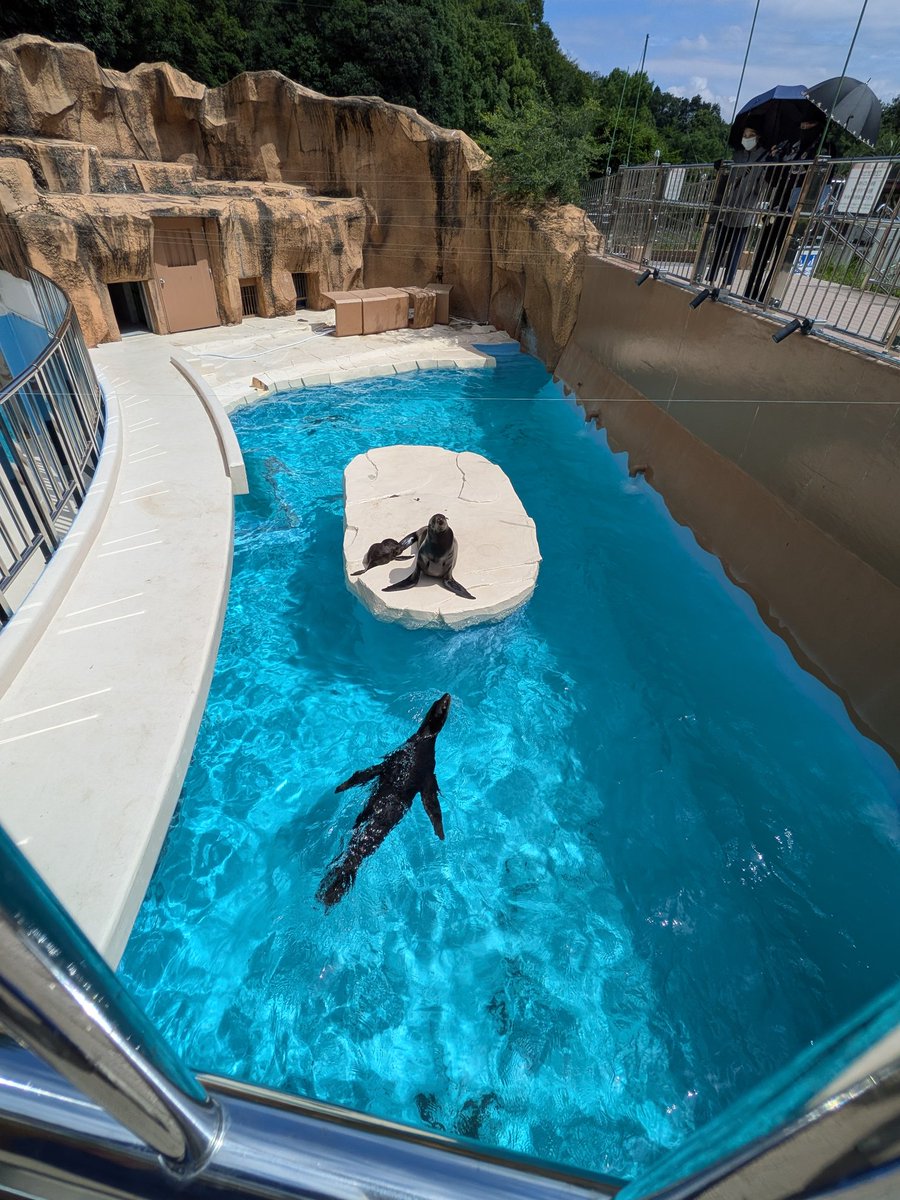 mahout417's tweet photo. おはようございます。
良い天気になりました。
四国も梅雨明けかなぁ〜
今日もがんばっていきまっしょい！ https://t.co/DAmaJxpMbg