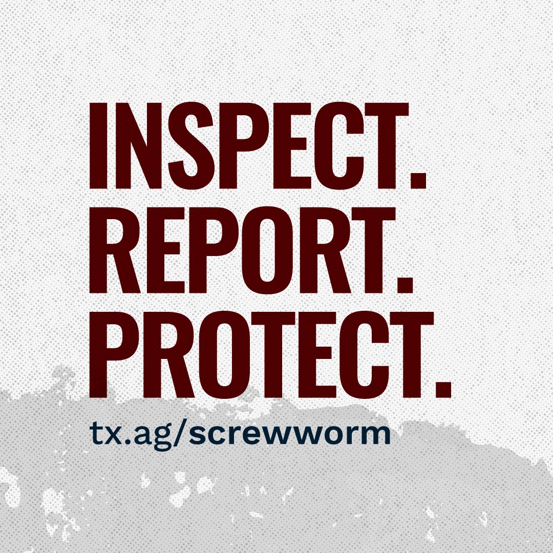 txextension's tweet photo. Knowledge, when Texas needed it most. 

More than 4,600 Texans have already enrolled in our free New World Screwworm Preparedness and Response Education course, and you can too. ➡️
https://t.co/Rt1zZvojt8 https://t.co/d3nx5GOACa