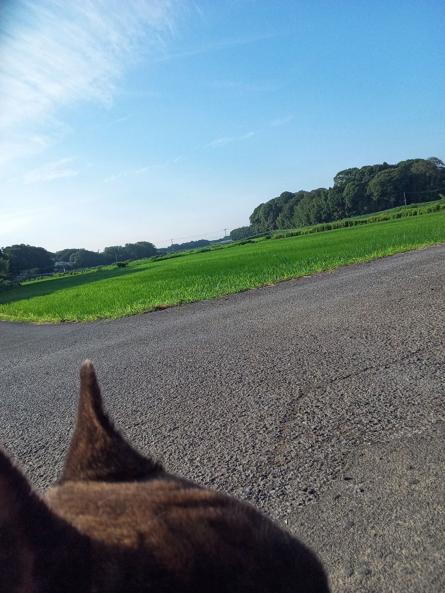 tsaneyoshi's tweet photo. https://t.co/8g32QKgpyr