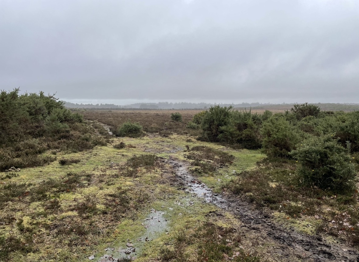 DailyPicTheme2's tweet photo. Thursday 9 July

Today’s Daily Picture Theme is ‘Remote'

RT or reply with your own photo

Tomorrow’s theme will be ‘Seagull'

#DailyPictureTheme

This is one of the views just outside Brockenhurst, I adore a remote landscape https://t.co/eR2gQPwdiW