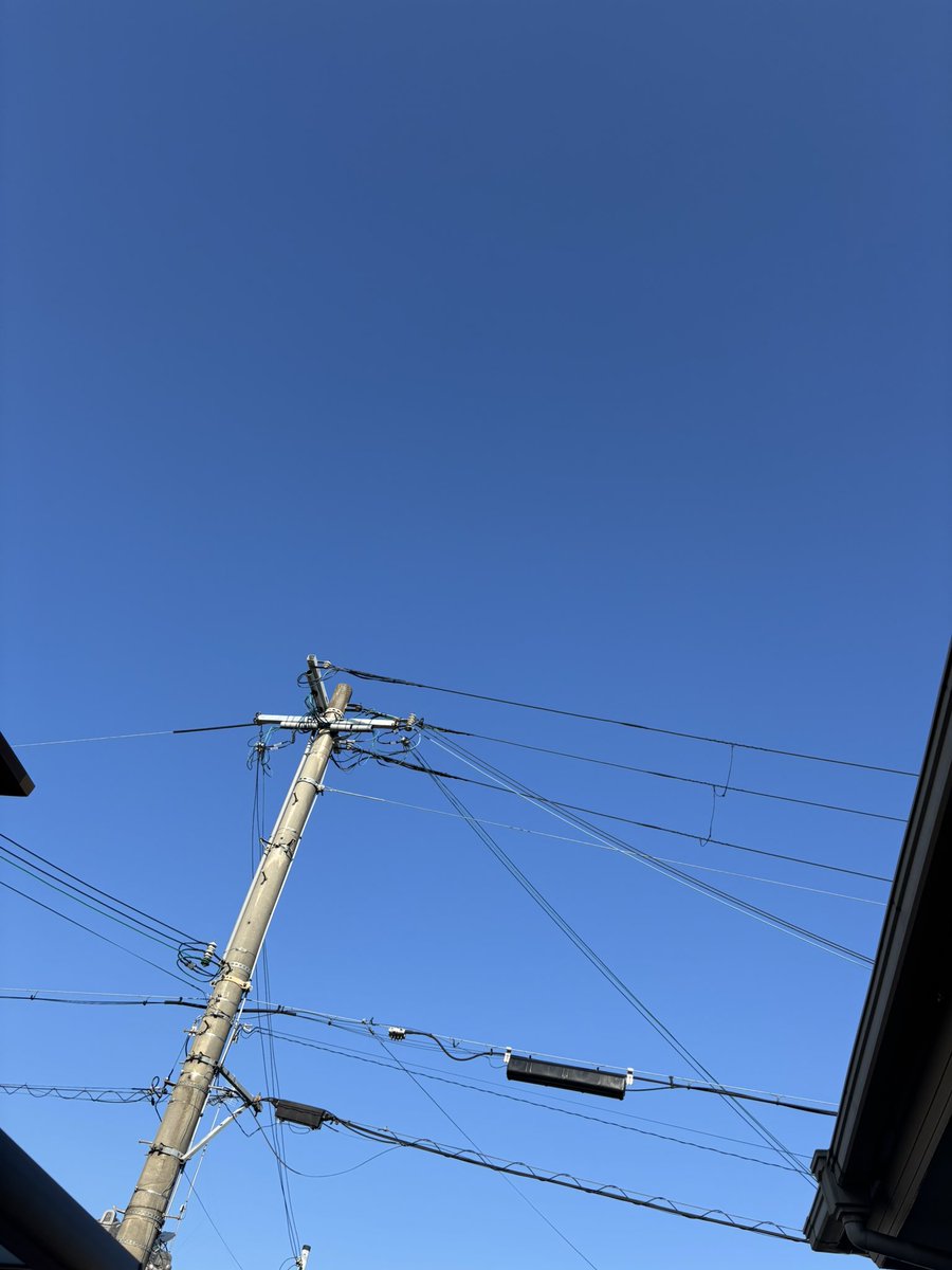 naka558558's tweet photo. @ohtahiromi1974 裕美さん、おはようございます。

梅雨明けし、朝から快晴です。
ナス🍆も取れ出しました。

オオタニさんの300号ホームランも見事でした。
巨人は才木をまたも攻略できず。

しばらくしたらパート朝の部に行ってきます。

今日も良い一日を！ https://t.co/SysIYGiUkD