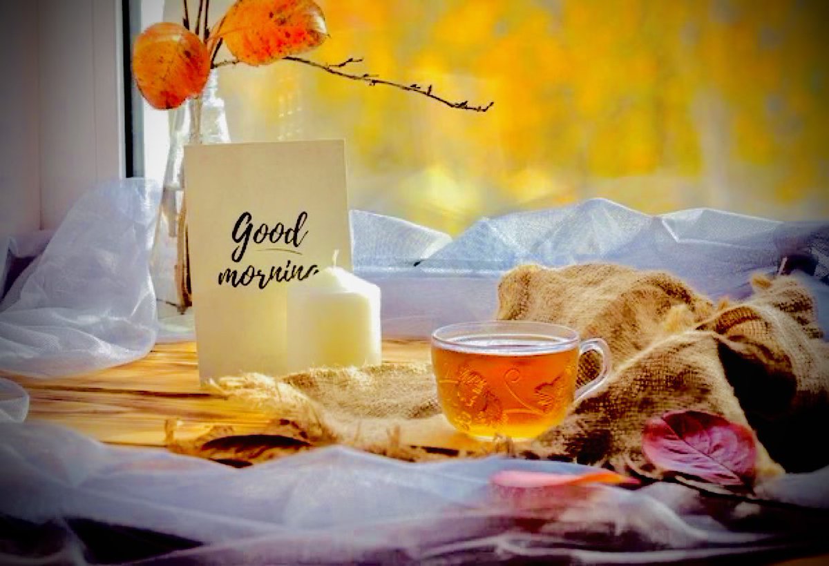 iamsameer0777's tweet photo. Assalamu Alaikum, everyone! 🌸

Wishing you all a very happy Thursday! ☺️

May Allah bless your day with happiness, peace, good health, and countless blessings. Ameen. 🤲✨

Will you reply to my Salam? 😊❤️ https://t.co/361N6mVTzV