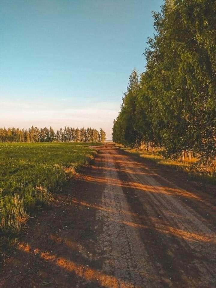 elyradream's tweet photo. golden hour https://t.co/YRBc78tzmx