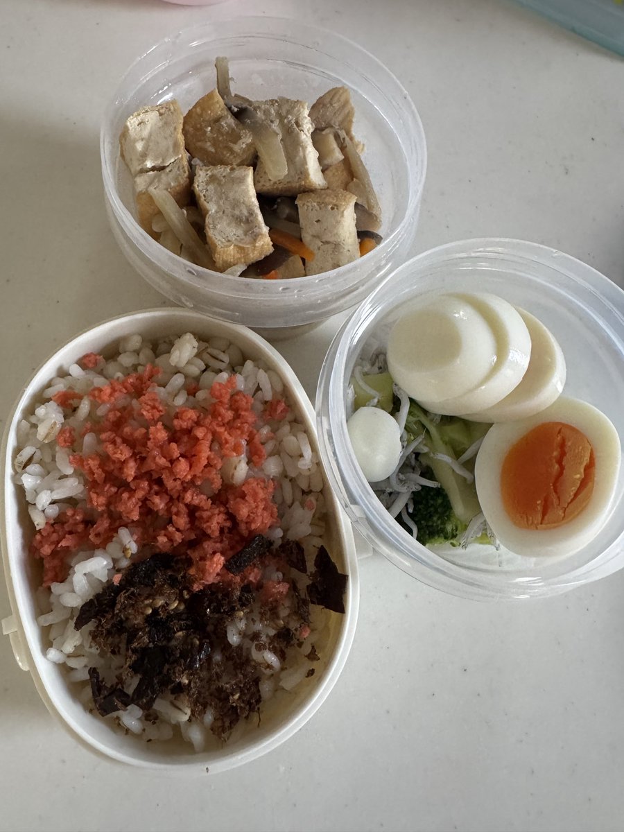 Shi_ko_ko44's tweet photo. おはようございます☀️
木曜日。
今日のお弁当。

 #お弁当
 #お弁当記録 https://t.co/Iq7dxpHwo1
