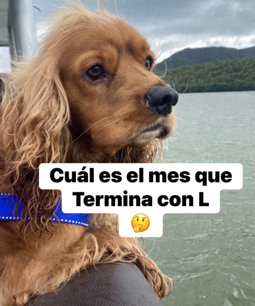 AlejoPrieto29's tweet photo. Cuál es el mes que termina con L🤔 https://t.co/eaQFx0iDxj