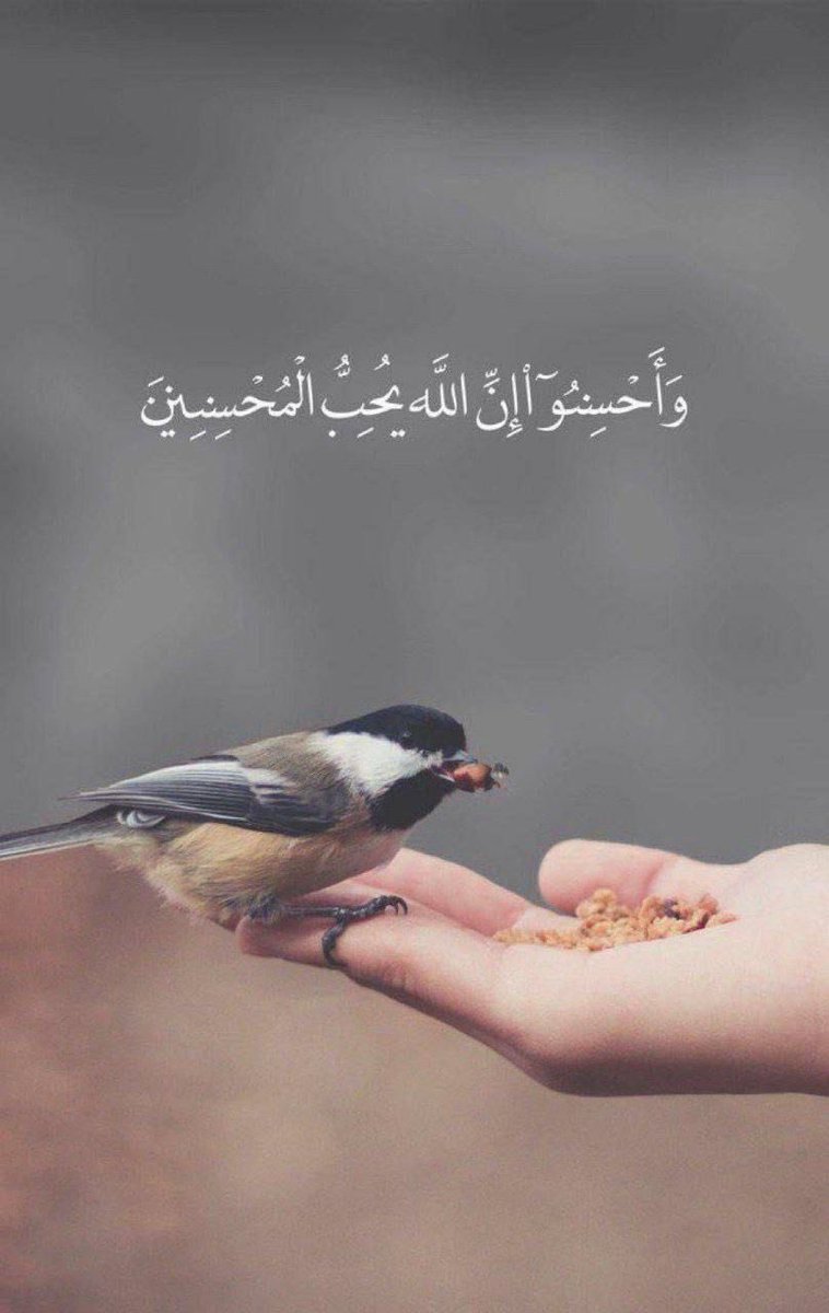 F_atem_'s tweet photo. https://t.co/AzMqPqDYWF
