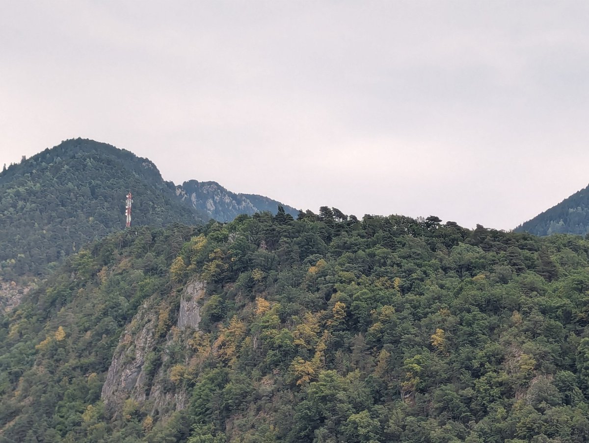 VisualMeteo's tweet photo. 🥵⚠️ #Dimecres | Lleugera reculada de les màximes, tot i que seguim en onada de calor. Les tempestes no han afectat a Andorra.

🌡️⬆️ Màximes (°C) a #VisualMeteo:

34.9 #Escaldes
34.4 #Encamp
34.1 #Certés
31.1 #LaCortinada
29.7 #Rubió ☔4.3
28.4 #ElsPlans https://t.co/skqxxLIRmE