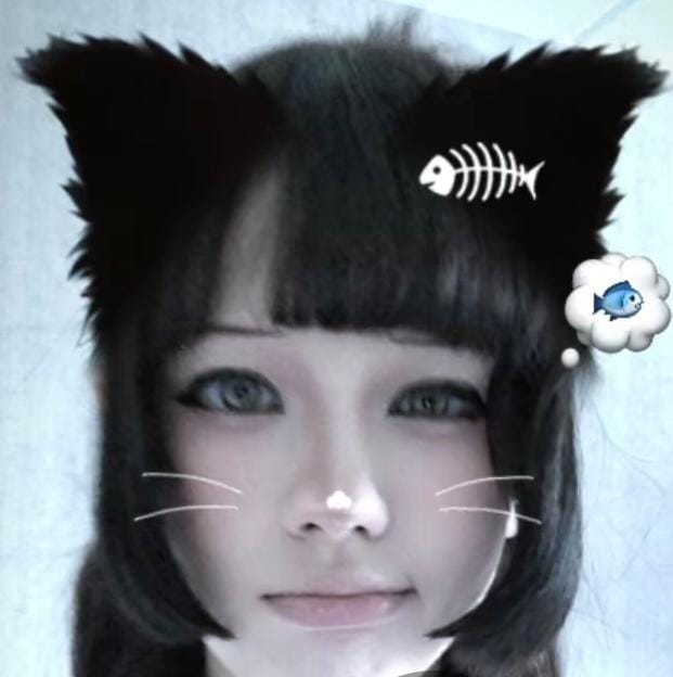 Atenshichan's tweet photo. Why does this filter lwk suit me a lot... IM NOT A CATGIRL RAHHHHH https://t.co/ZWM7ojHRDW