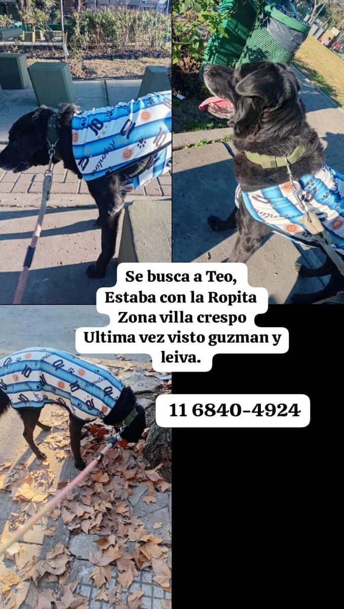 patripeyrou's tweet photo. Difundimos https://t.co/tWf6hg4ldA