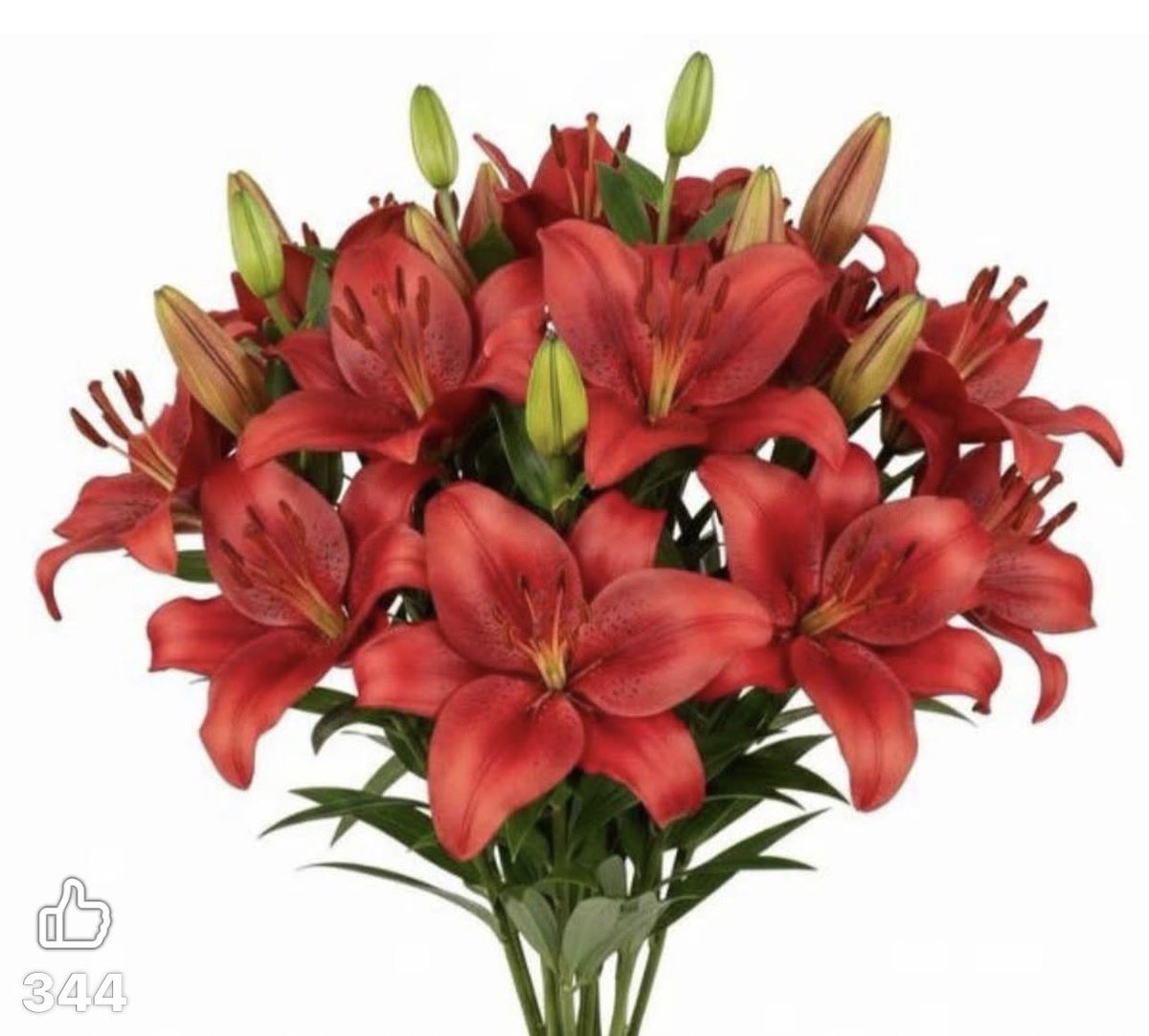 3Z_IIZ's tweet photo. لا قيمه لأراء الناس مادامت أفعالك تمنحك ضميراً مريحاً ...
لا تكن حارساً لكل شيء ، هناك أشياء دعها تذهب  ،
و هناك أشياء دعها تختفي ،
و هناك أشياء دعها تنتهي ... 
و استمتع أنت بحياتك وبتغير الاحوال 👌🌸 https://t.co/n5eUM7YwRl