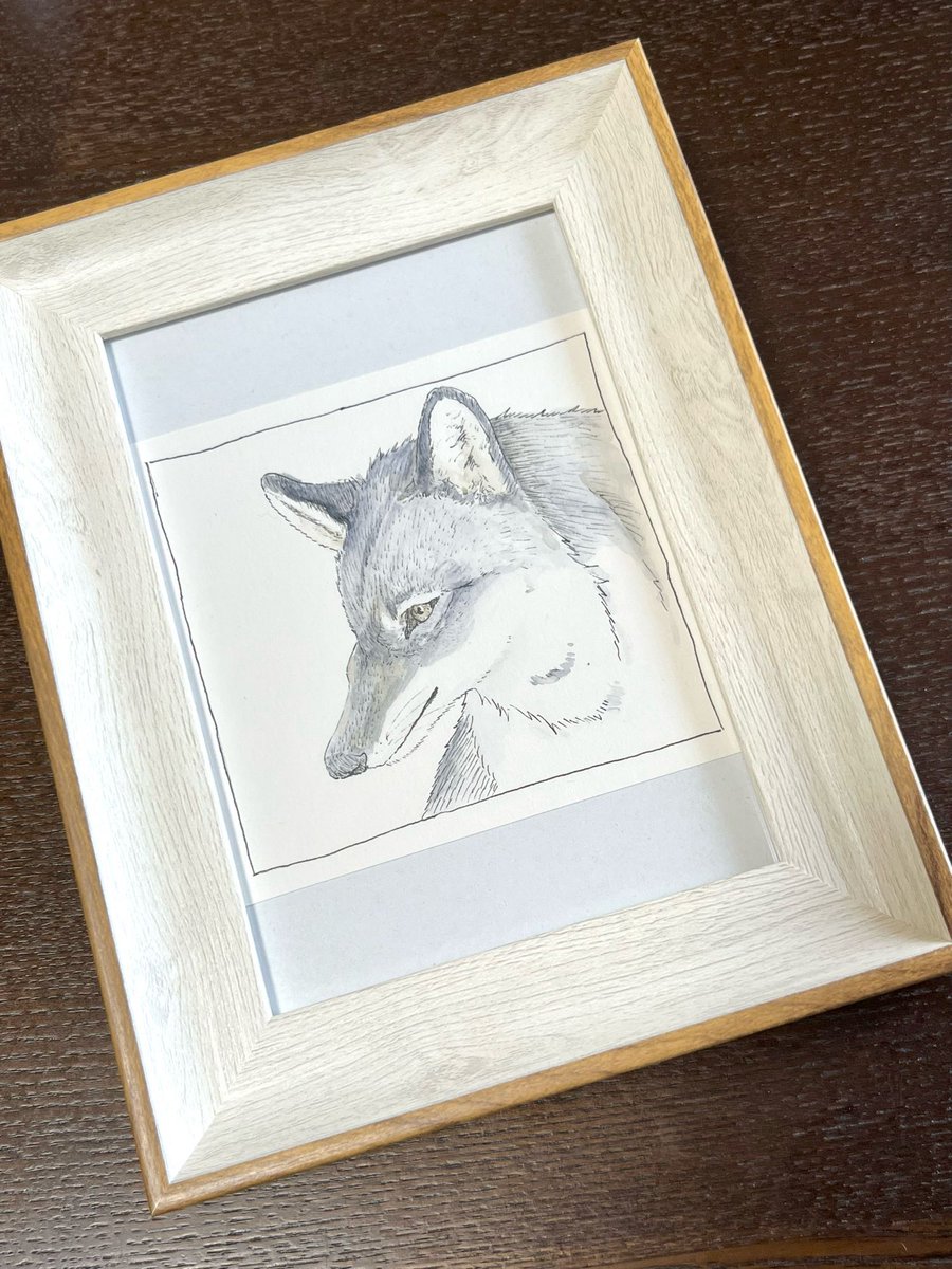 kapikingu's tweet photo. #PenAndInk #inkdrawing #animalart #kapiArt https://t.co/5ytNGeZX7Y