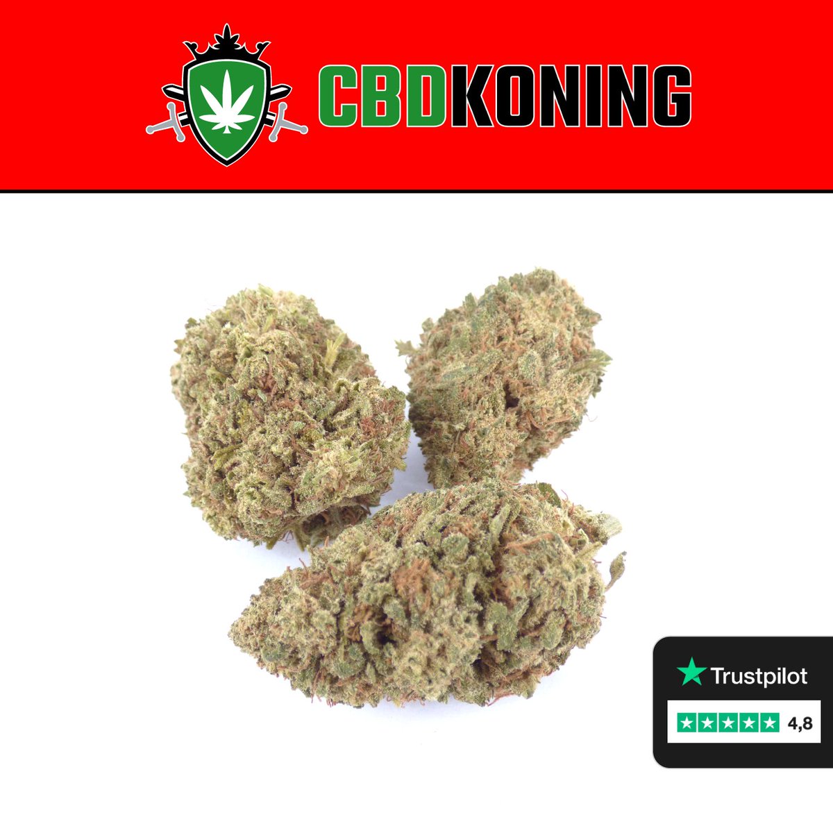 CBDkoning2nd's tweet photo. CBD specialist van Nederland 👑
Sinds 2019 actief
Meer dan 40 soorten 🌱
Check de bio ✅
#CBDKoning #KoningCBD #NACpraat #Crypto
#Zwolle #Almere #Travel https://t.co/1gdrcrHtRZ