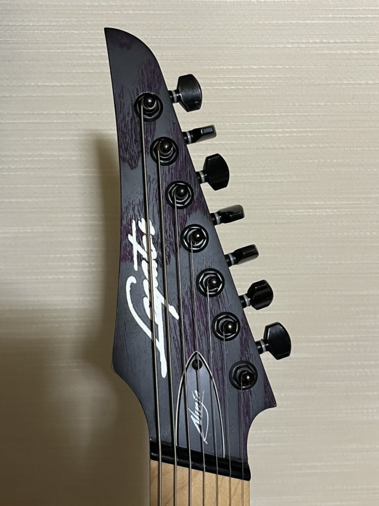 TkyRockfield's tweet photo. #ギターヘッドだけで勝負 https://t.co/EdO9b2JyqZ