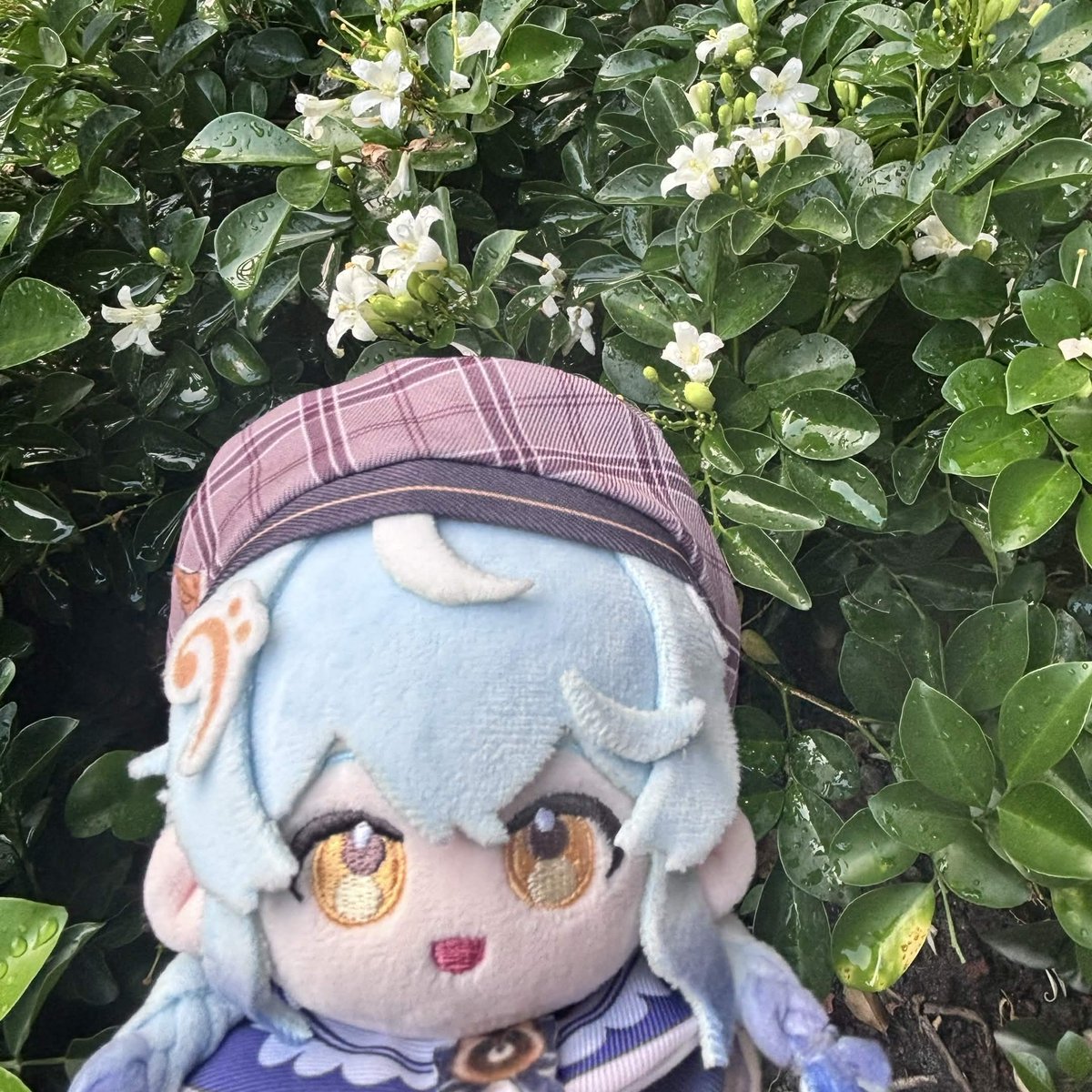 Reirei_Neon's tweet photo. 最近看到很多觀眾有收到子午四週年娃娃了！也因此這陣子在直播上、或在DC專區的時候會看到有些人詢問關於買娃衣的問題，所以想分享自己的經驗希望能幫到大家～

先打預防針，雖然但是，我這篇文章沒經過官方審核所以真的只是個人經驗分享，我講的東西不一定100%正確，請還是自行評估是否適合參考喔！
————————————————————

子午官方出的娃娃，例如四周年初始衣裝娃娃、阿基生日的狗狗娃娃、我生日的狸貓娃娃，只要有能穿衣服的身體，大多都適用於10cm娃衣。
（反之，像是扁鼠、狐球、粉絲形象吊飾娃娃就不太好參考以下心得，但買小蝴蝶結、圍兜兜等飾品應該還是蠻適合的）

子午娃娃體型比較接近市面上俗稱的「海星體」或者「努努體」，所以購買10cm娃衣通常都穿得進去，偶而可能會有太胖太大的問題就⋯⋯這很吃運氣，但我實測大多數娃衣最多就是會扣不太上去，不會完全穿不下（？）只有狸貓娃娃稍微比較胖一點點會看起來有點緊繃🤣

如果真的很擔心穿不下，我還蠻推薦斗篷的！斗篷通常比較不會穿不下，而且因為子午娃娃本身就有娃衣，可以搭配使用，說不定會有不錯的效果😳

有點危險的選項是頭套，目前我自己手上雖然大多還是戴得下，不過極少數頭套看起來會很緊繃快把娃娃勒死💀
值得留意的是，狗狗和狸貓娃娃的手感偏軟、人型娃娃手感則偏紮實，所以狗狗和狸貓會比較比較容易套進頭套一點。

初始衣裝娃因為類似海星體，所以手短腿也短短。海星體穿某些衣服的時候就會看起來比較長，類似Oversize的感覺。
長袖也是，我自己實測，初始衣裝娃穿長袖沒辦法穿過袖子🤣但是oversize的感覺我覺得也蠻可愛的！這很看個人，可以參考看看（？）如果希望能看到手的話，短袖或者無袖可能會比較合適。

以上！有其他問題可以留言問我，我能回答會盡量回答，也很歡迎把這篇心得分享給你剛開始養瓦娃的好捧由，但不要問我朋友哪裡領因為我也沒幾個朋友2ㄏ(´▽`ʃ♡ƪ)