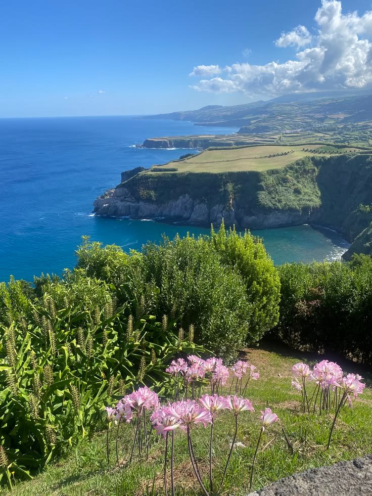 echoesofworld's tweet photo. Azores, Portugal https://t.co/J2ZVYA3H3p