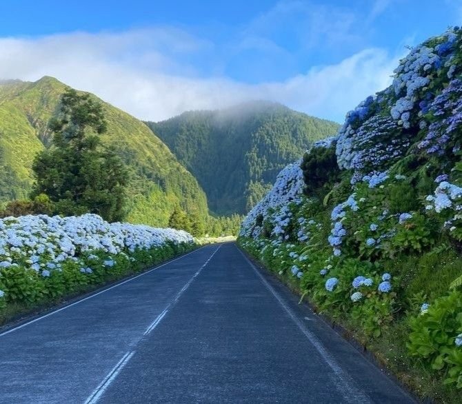 echoesofworld's tweet photo. Azores, Portugal https://t.co/J2ZVYA3H3p