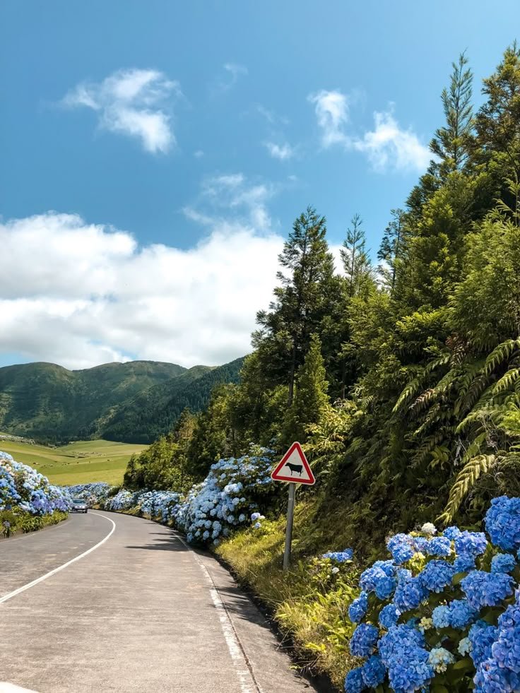 echoesofworld's tweet photo. Azores, Portugal https://t.co/J2ZVYA3H3p