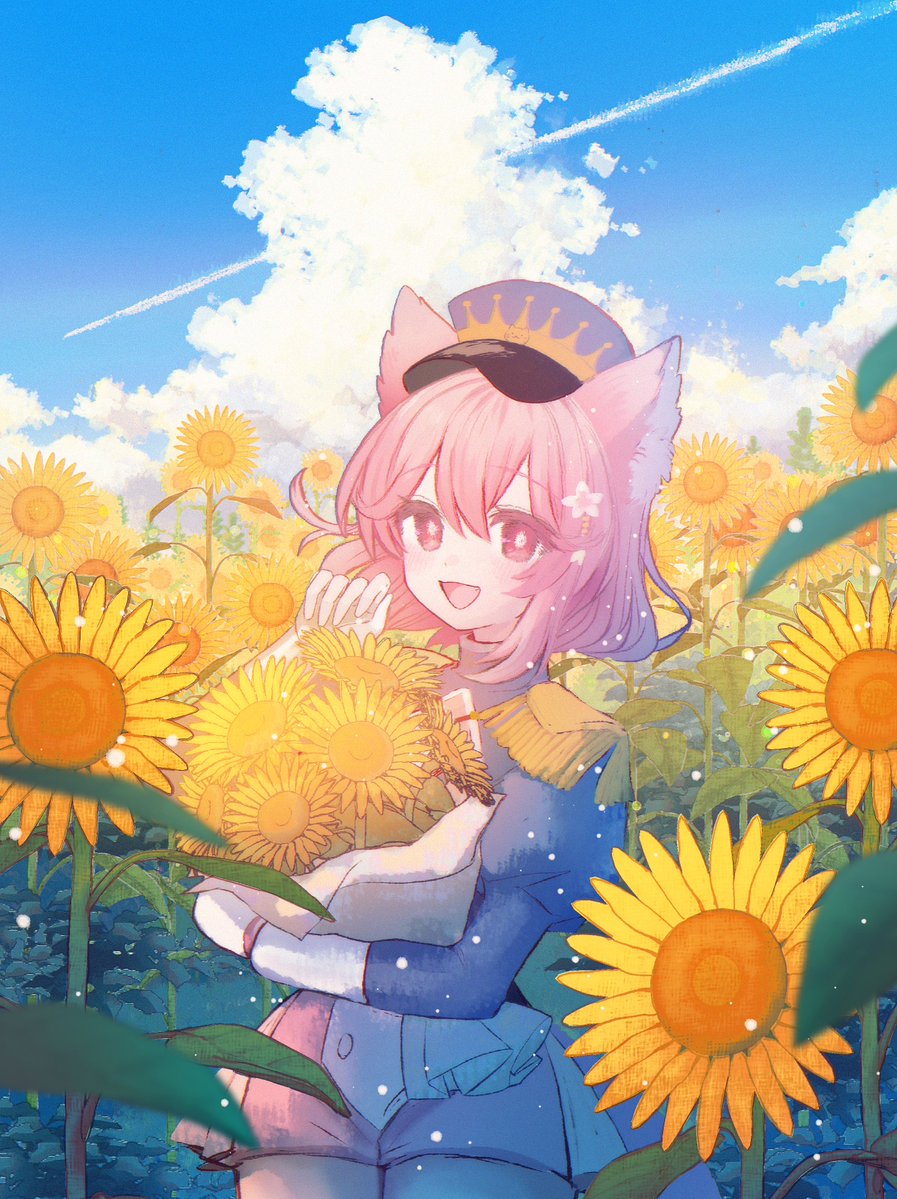 おはにゃ.ᐟ.ᐟ今年の夏は何撮りにいく？📷⟡.·